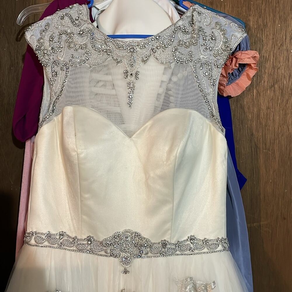 Cristiano Lucci wedding gown Raquel - Picture 9 of 16